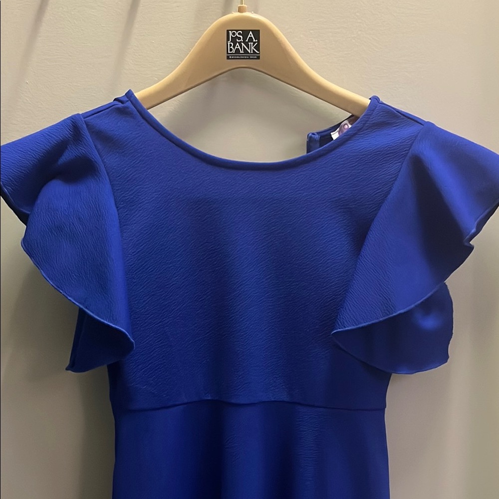 Blue Ruffle Sleeve Dress